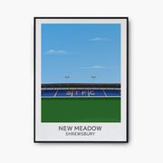 New Meadow Poster - Goal Prints