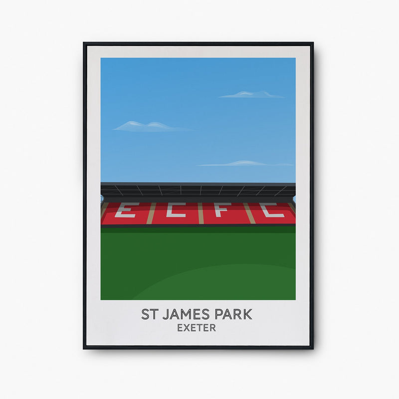 St James Park Poster - Goal Prints